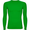 Verde Helecho