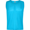 Turquoise Fluoride