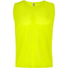 Fluorescent Yellow