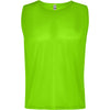 Fluorescent Green