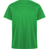 Fern Green