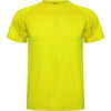 Fluorescent Yellow