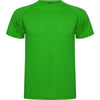 Fern Green