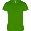 Fern Green