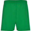 Verde Helecho