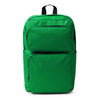 Verde helecho