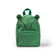 Verde helecho