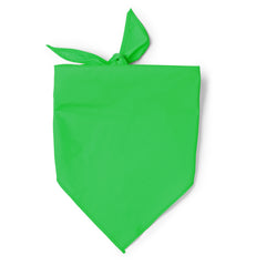 Pañuelos JARANA PN1734 Verde helecho personalizable con tu logo | LogoLider