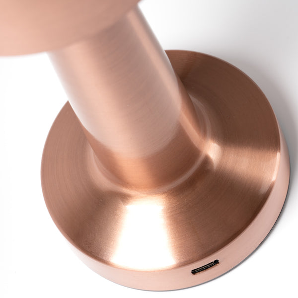 REIKI LP1746 ROSA DORADO detalle LogoLider