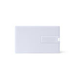 Memorias usb DATIS US1858