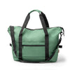 Verde helecho