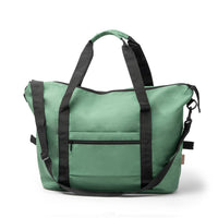 Verde helecho