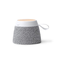 Gris vigore