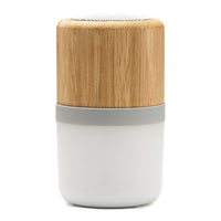 Bambu