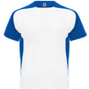 Blanco/Royal