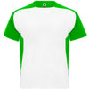 Blanco/Verde Helecho