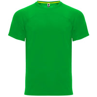 Fern Green