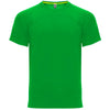 Verde Helecho