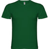 Bottle Green