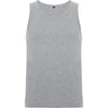 Gris Vigore