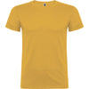 Ocher