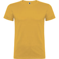 Ocher