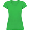 Tropical Green