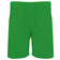 Verde Helecho