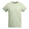Green Mist