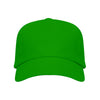 Verde helecho