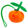 Naranja