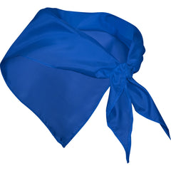 Pañuelos FESTERO PN9003 Royal personalizable con tu logo | LogoLider