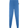 Blue Lab