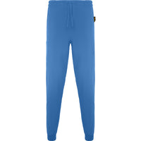 Blue Lab