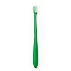 Cepillos de dientes KORA CI9945 Verde helecho personalizable con tu logo | LogoLider